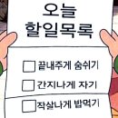 핏다이어트캠프 이미지