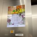 우리은행 | W #10 우리은행 웨딩홀 더부페 후기