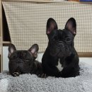 거제로와 이미지