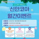 신안코아 이미지