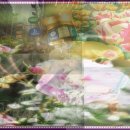 바이오영 이미지