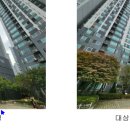 수원-1128 이미지