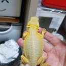 스토리유럽