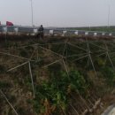 낙동JCT(상주) 이미지