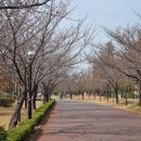 중동 광양백운중학교 | 핵밥 광양중마점 / 스테이크덮밥 소불고기덮밥 으로 맛있는 한 끼