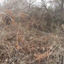 바산농장 이미지