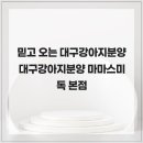행복한강아지 | 믿고 오는 대구강아지분양 마마스미독 본점 대구강아지분양