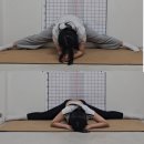 다리찢기 안되는 이유와 해결법(연영과 입시 다리찢기)