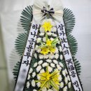 광주정품화환배달 이미지