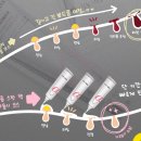 처제 PC | 뾰드름팩 닥터알파 블레미쉬 케어 스팟트리트먼트로 쉬운 뾰루지 &amp; 여드름 관리!