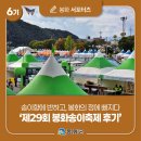 [제6기 봉화군 서포터즈] 송이향에 반하고, 봉화의 정에 빠지다 '제29회 봉화송이축제 후기' | 이수이 님