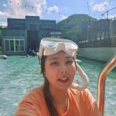 남이섬설리조트2 | 춘천 워터빌라 펜션 남이섬설리조트 수상빌라6/개별바베큐 수영장뷰