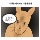 한상준학원 | 치질 4기 증상 너무 심해져서 급하게 치핵 수술했어요 [김포 항문외과 한상준항외과 운양동 항문외과]