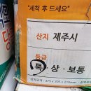 우주딸기 이미지