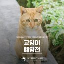 일곡동물병원 이미지
