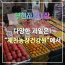 청풍명월농장 네이버블로그