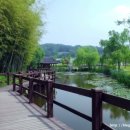 담양-05 네이버블로그