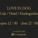 러브애견 이미지