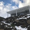 제주 알모 이미지