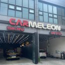 카멜레온 디테일 이미지