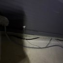 개미카센타 이미지