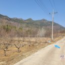 비봉산농장 이미지