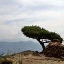 공주생명과학고 제2농장 이미지