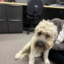 기타교실(A) | 마음이 레인쿠버와 같은, 밴쿠버 UBC 어학연수 1월 한 달 후기