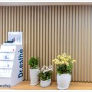 더나처럼성형외과의원 이미지