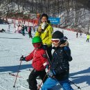 홍삼촌 이미지