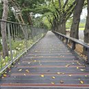 《토요산행-청하》 10월 10일 (토) 청계산 아랫길 이미지