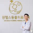 원헬스동물의료센터