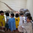 아이샘터어린이집 이미지