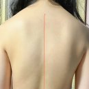 바디웨이브파동테라피 이미지