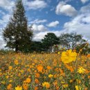 하늘맞이공원 이미지