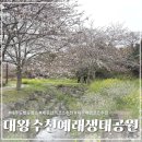 대왕수천 | [제주] 벚꽃 명소 '대왕수천예래생태공원' 후기 ｜유채꽃, 주차 꿀팁