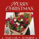 슬며들다.꽃