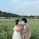 어치추억민박 | 결혼준비11_스튜디오 안하는 예비부부 가성비 제주스냅 꿀팁/후기_메이크업러빙유,동완필름,누브라,속바지