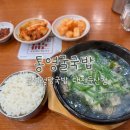본설렁탕 대전둔산점