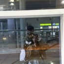 쎄븐일레븐부산 강서구랑점 | [3월 보홀 여행_Day1] 제주항공, 필리핀 이트래블, 팡라오 공항 픽업, 0.5박 숙소 Christelle lnn