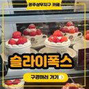 샤인펫 (Shine pet) | 광주 상무지구 데이트 카페 추천｜감성 인테리어와 디저트가 예쁜 슬라이폭스 상무점 후기