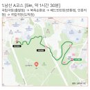 9988병원 | 25년 6월 손목닥터9988 남산 걷기&amp;기부 챌린지 참여 후기