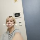 브이오엘엠에이이