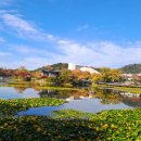 두류공원 이미지