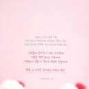 꼬꼬마니 Daum카페