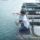 금갑해수욕장 이미지