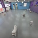 보라유치원 이미지