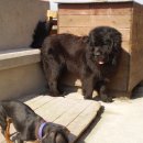 작은친구 이미지