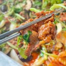 오리좋아 이미지