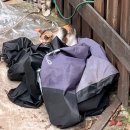 미미캣살롱&고양이호텔 | 근처 가볼만한 곳 중문 햄버거맛집 불턱버거 송악산 근처 유럽감성카페 오마이살롱 중문배달맛집쏭타추천